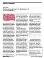 Paper highlighted in Nature Reviews Cardiology