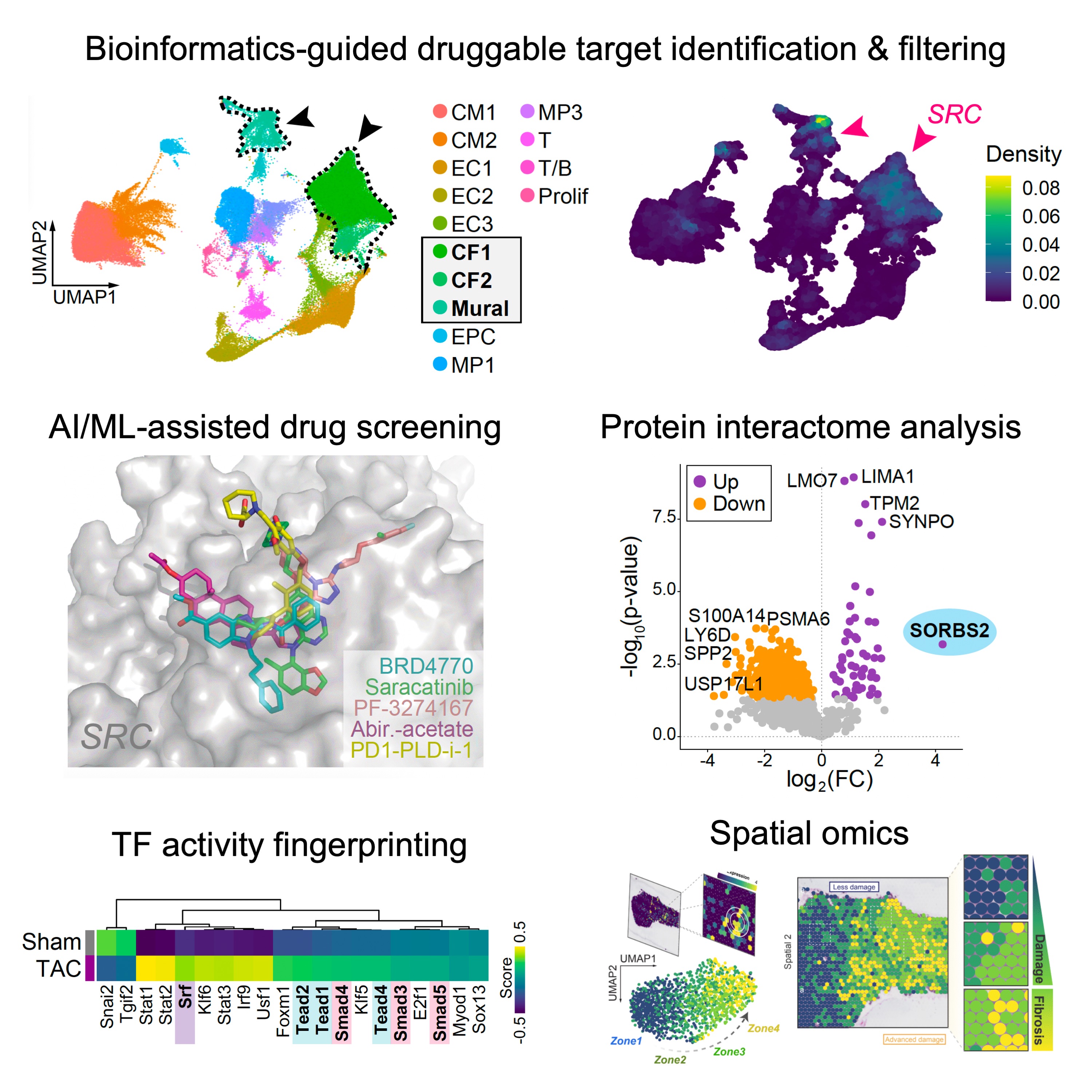 Multi-omics and data